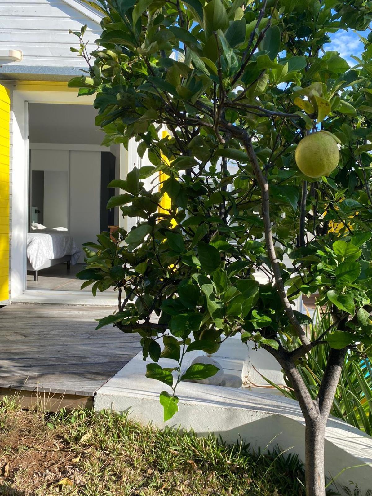 Villa Ylang Saint-Gilles-les Bains Ngoại thất bức ảnh